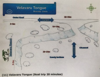Velavaru Tongue